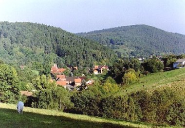 Luftaufnahme von Atzelrode mit einigen Häusern inmitten des grünen Waldes.