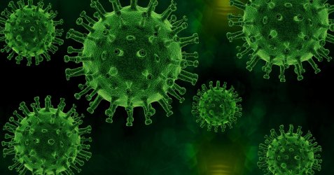 Corona-Virus.jpg