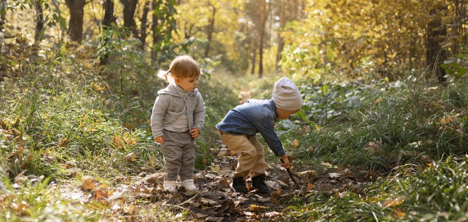 Zwei Kleinkinder, die die Natur im Wald entdecken.