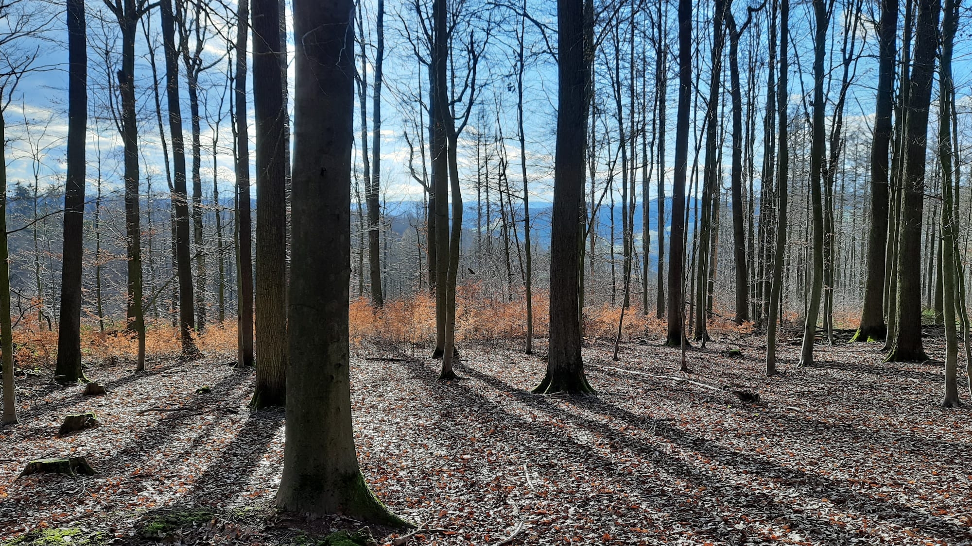 Symbolbild Hospizverein