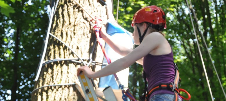 Ein Mädchen klettert gesichert auf einen Baum im Kletterwald.