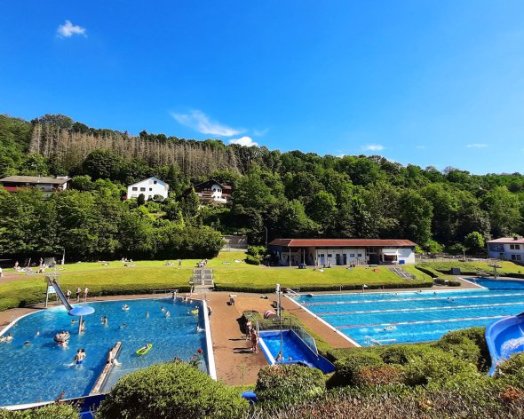 Das Waldschwimmbad im Sommer, mit blauem Himmel.