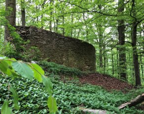 burgruine-rodenberg.jpg