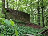 burgruine-rodenberg.jpg